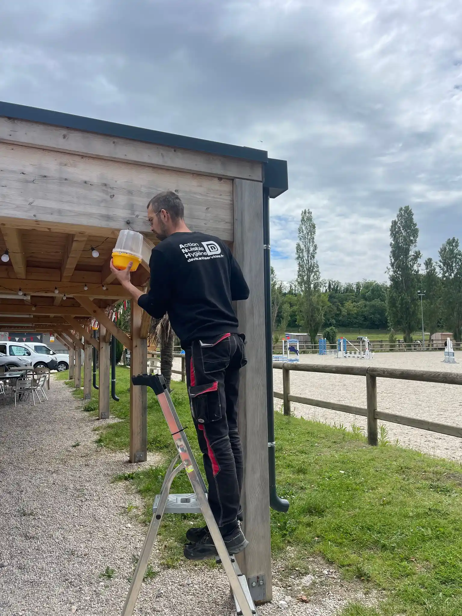 Technicien installant un piège de capture sélectif pour frelons asiatiques