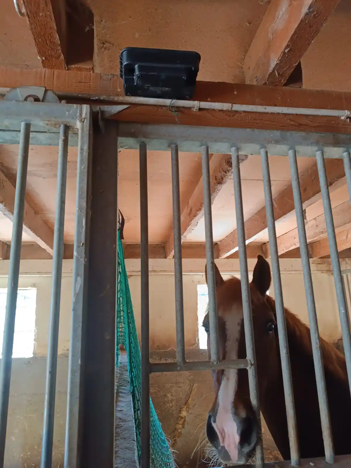 Poste d'appâtage rongeurs sécurisé fixé à côté d'un box de cheval
