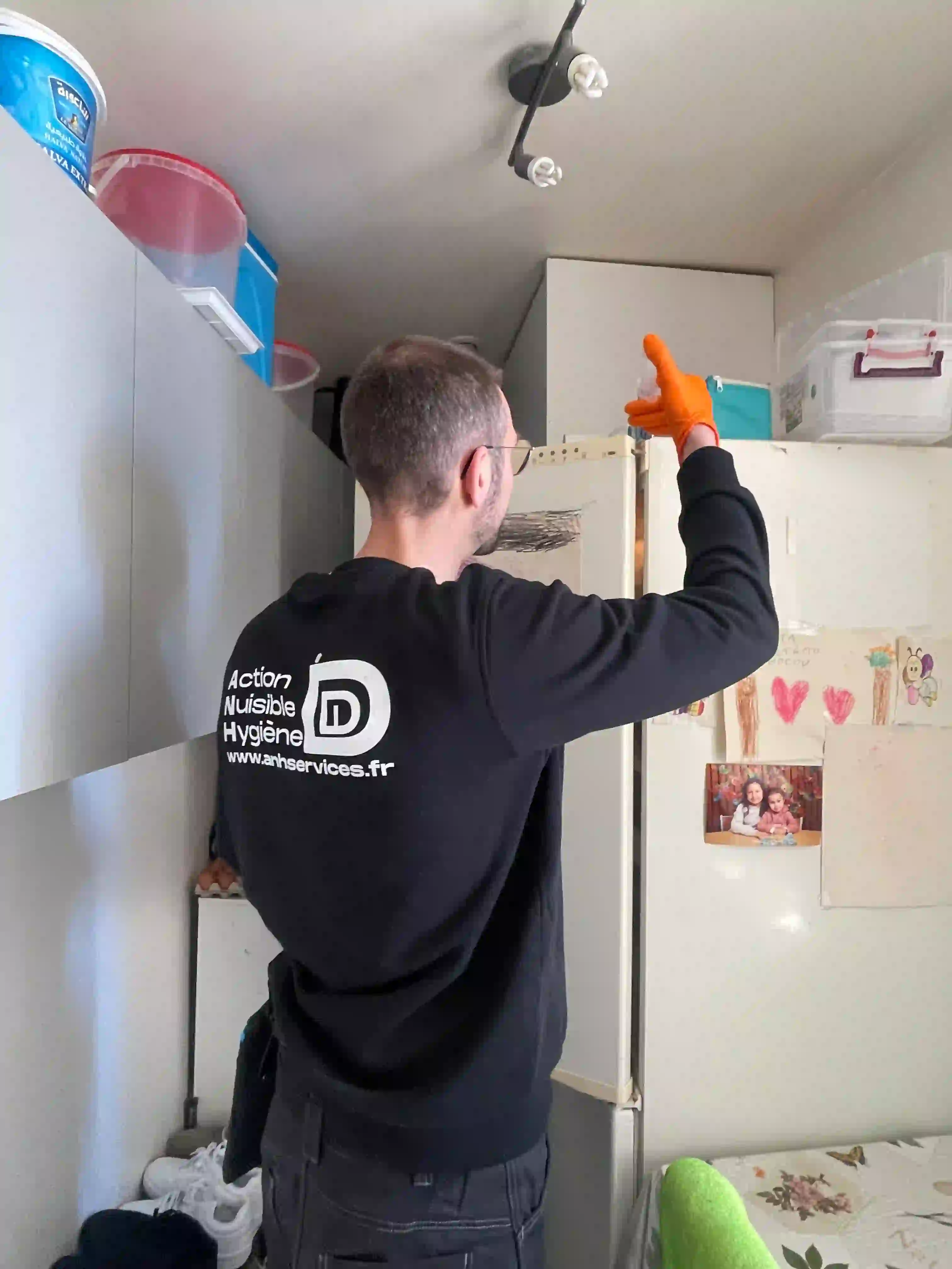 Inspection cuisine blattes