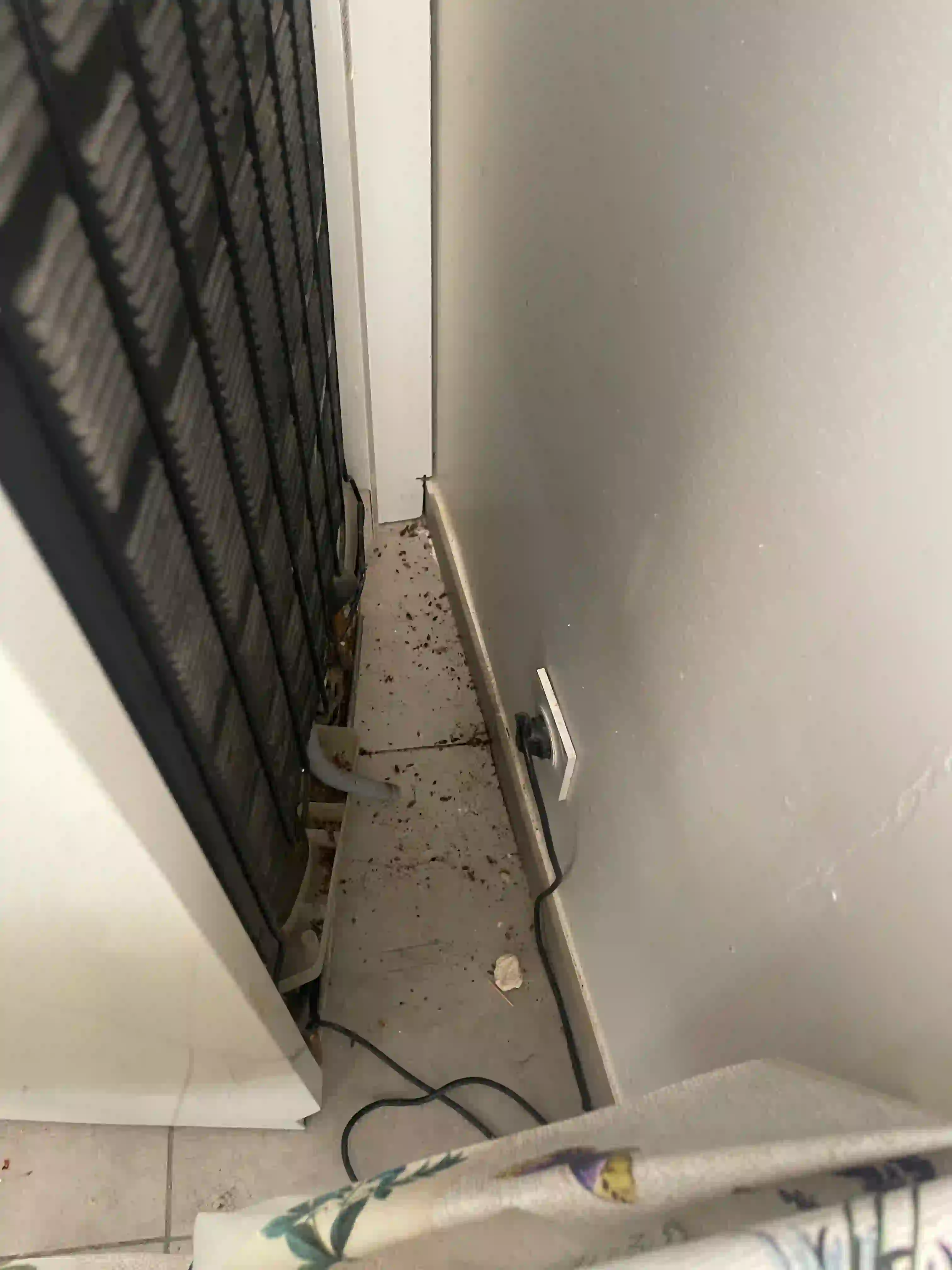 Traces de blattes derrière frigo