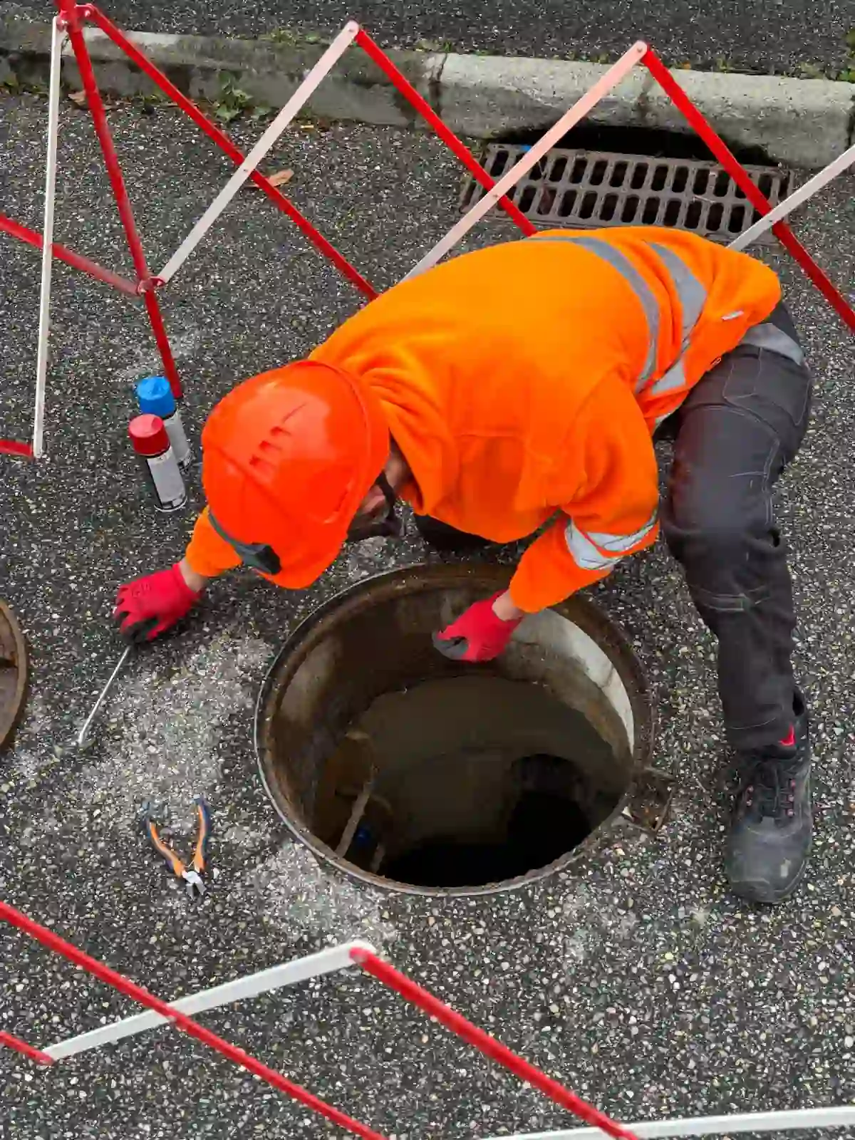 Inspection bouche d'égout rongeurs