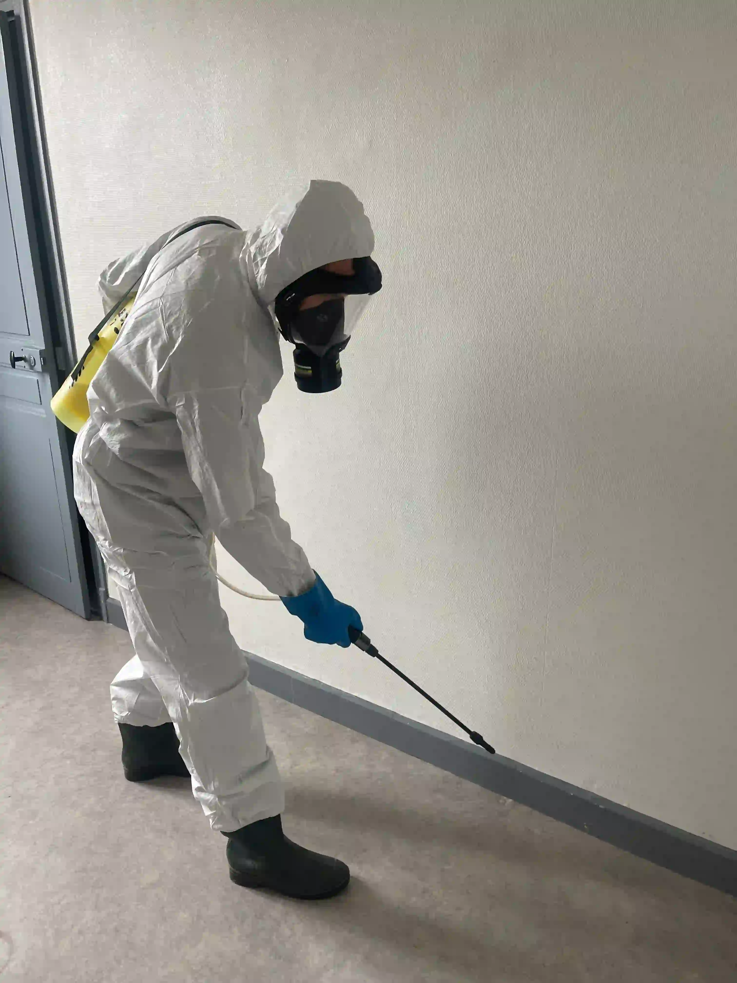 Pulvérisation désinsectisation