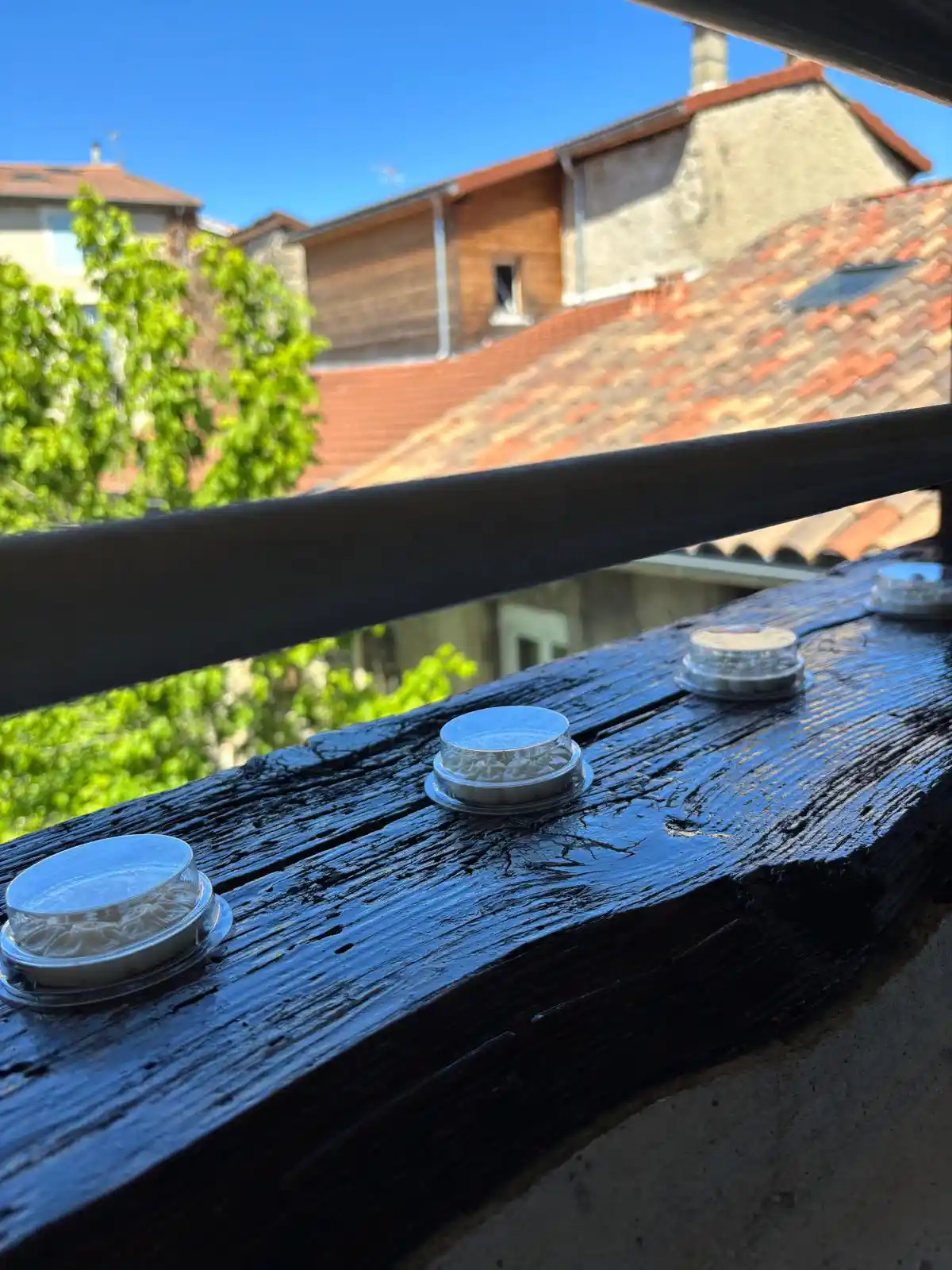 Alignement des coupelles Bird Free