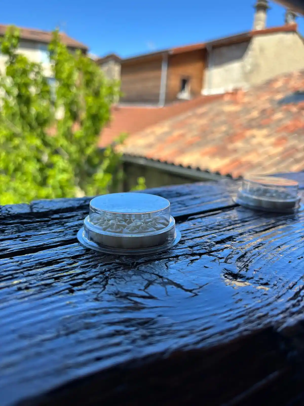 Vue du dessus des coupelles Bird Free sur une poutre traitée