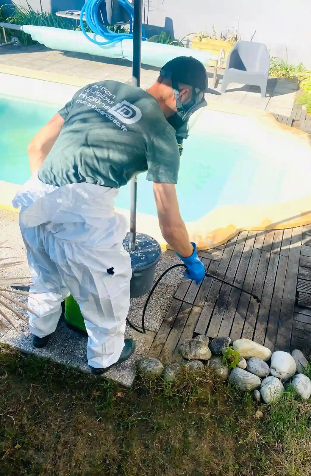 Pulvérisation contre les fourmis Tapinoma