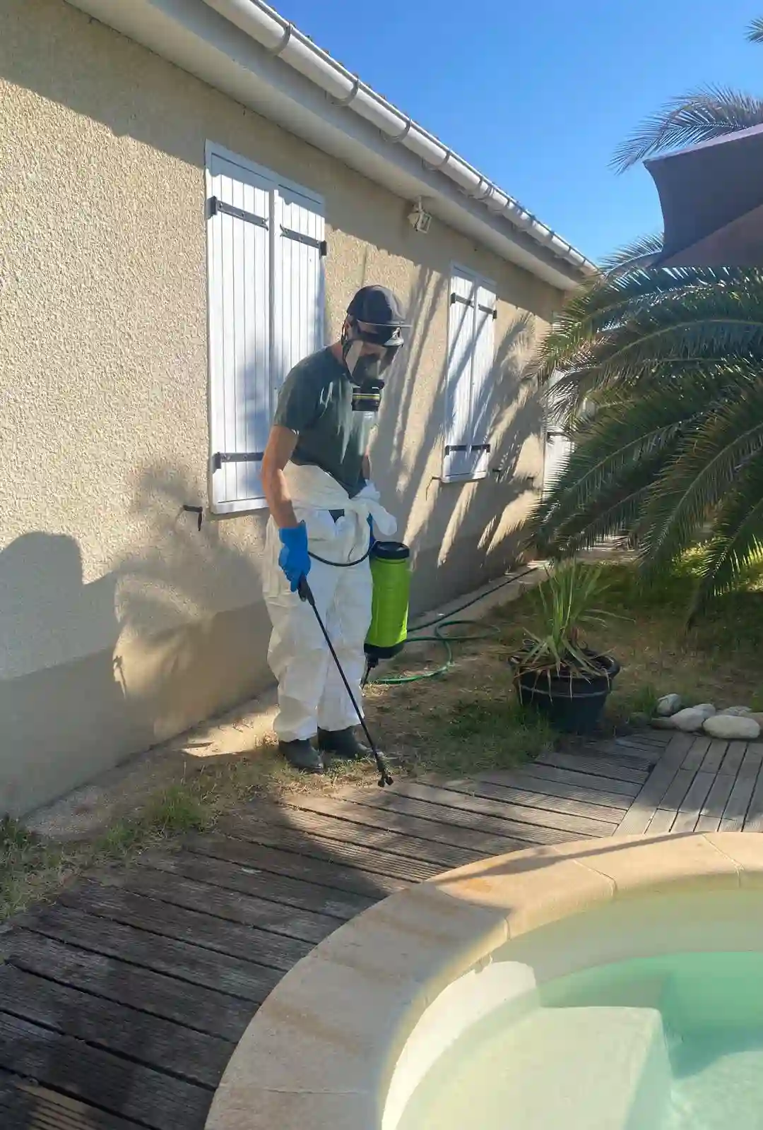 Intervention extérieure fourmis Tapinoma