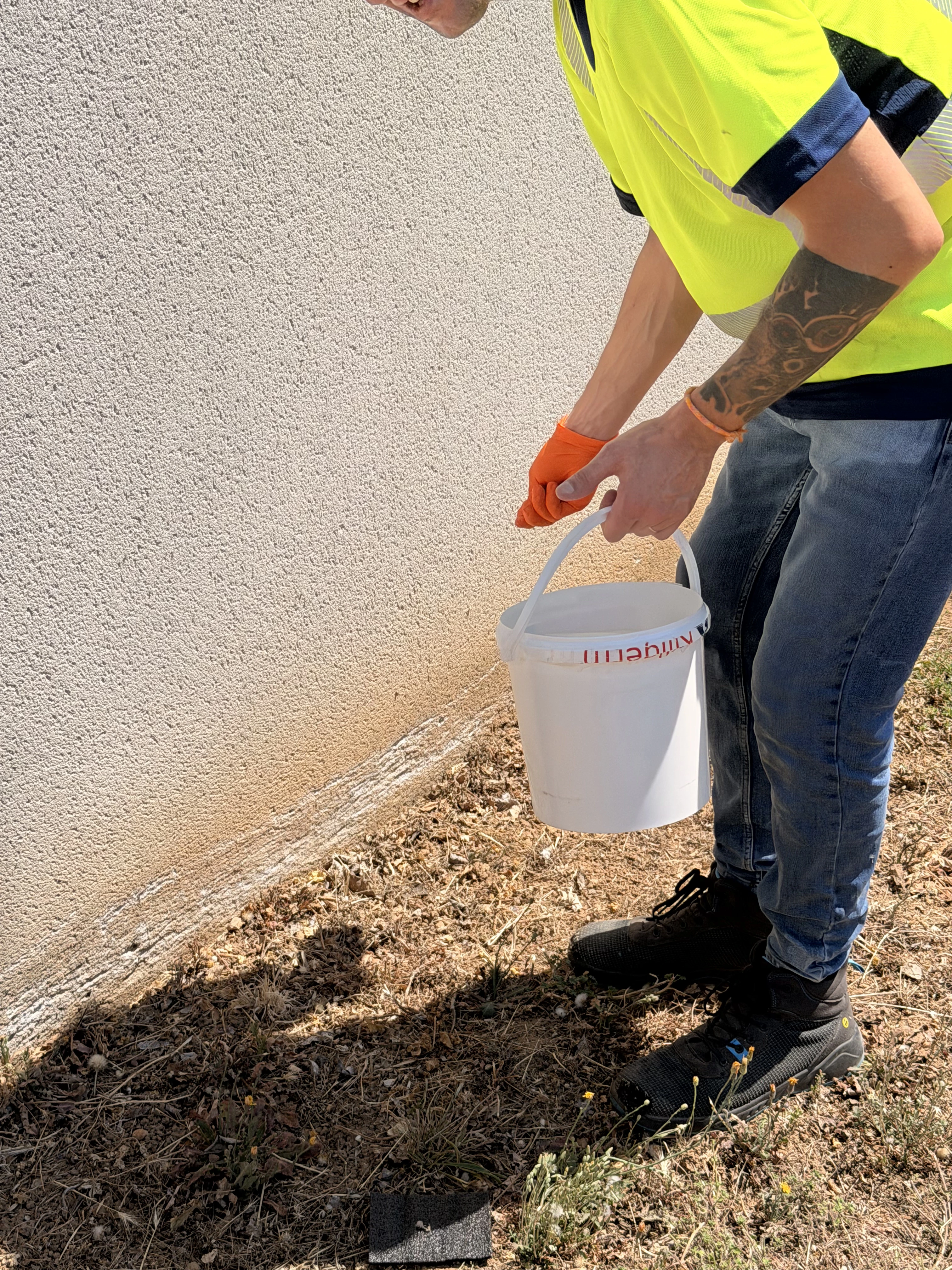 Application de barrière périmétrique extérieure aux granulés insecticides